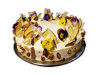 Apfel-Walnuss-Honig-Sahne Torte