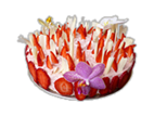 Erdbeer-Joghurtsahne Torte